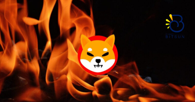 InShot 20241225 233802421